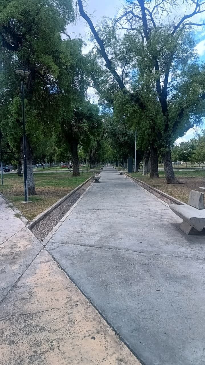 Park view