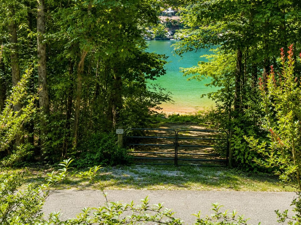 View of lake from house