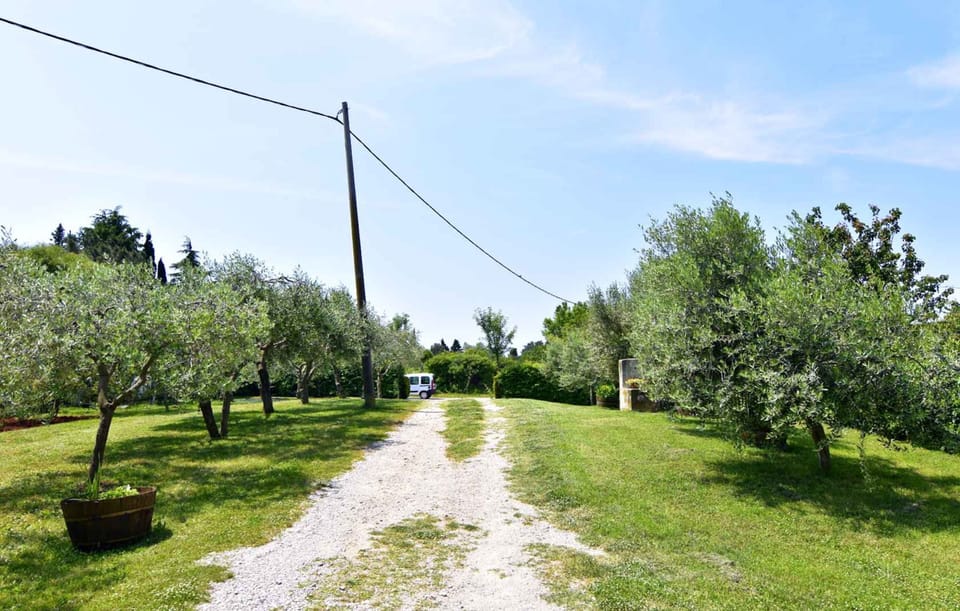 Apartment, 2 Bedrooms, Terrace, Garden View | Property grounds