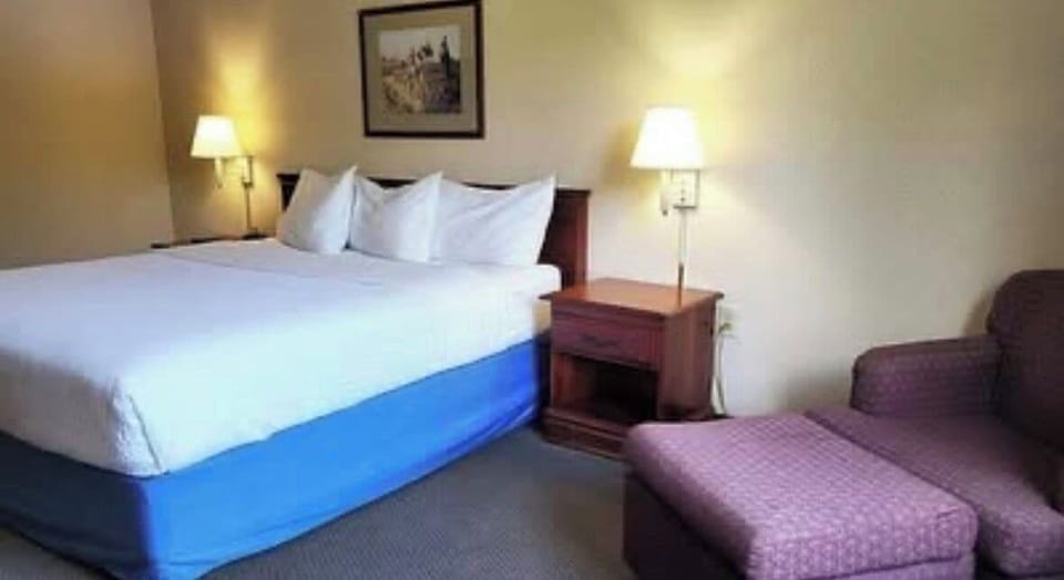 Basic Single Room | Free WiFi, bed sheets
