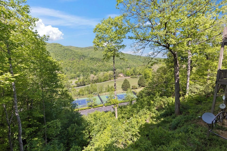Back Deck View