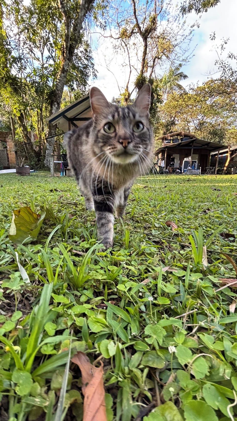 Property grounds