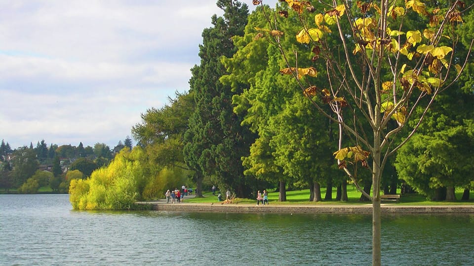 Paddle board and sail boat rentals, pickleball courts
