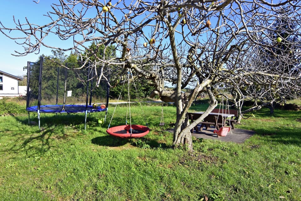 Apartment, 1 Bedroom, Patio, Garden View | Property grounds