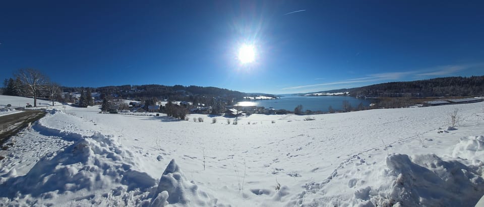 Miscellaneous