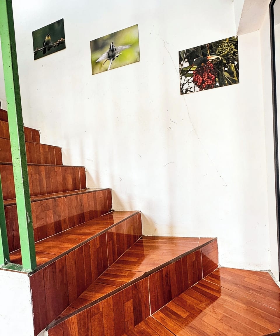 Basic Room, City View | Interior