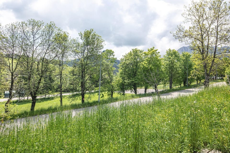 Immediate Surroundings [summer] (<1 km)
