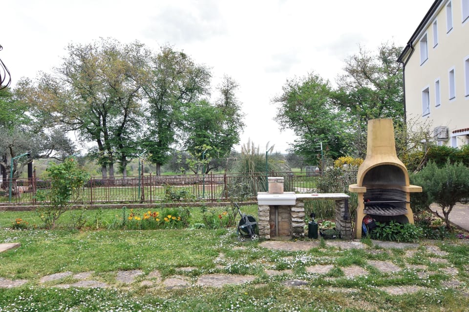 Studio, Patio | Garden