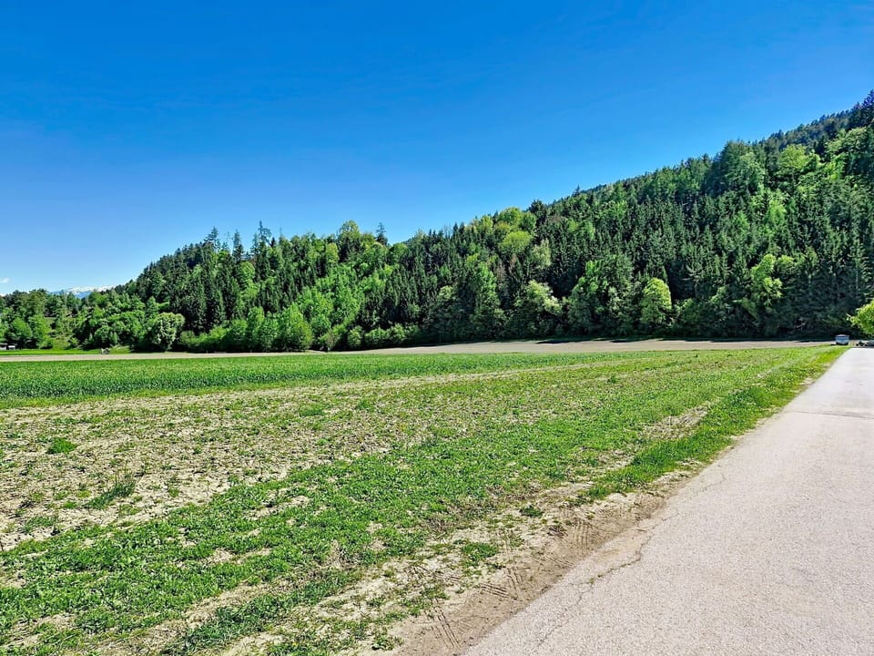 Green, Grass, Natural Environment, Natural Landscape, Vegetation, Grassland, Plain, Summer, Field, Ecoregion