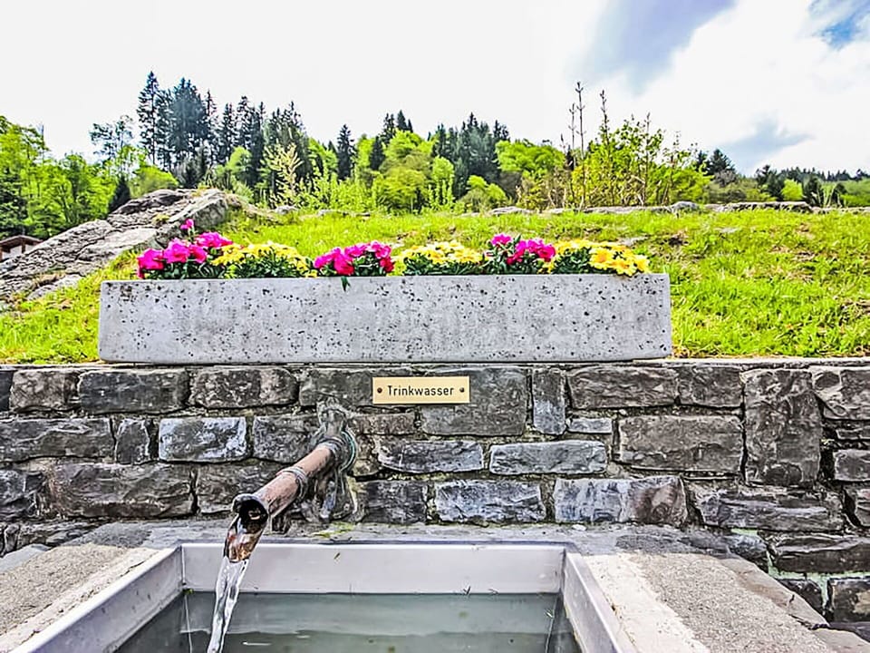 Shrub, Garden, Stone Wall, Landscaping, Water Feature, Walkway, Botanical Garden
