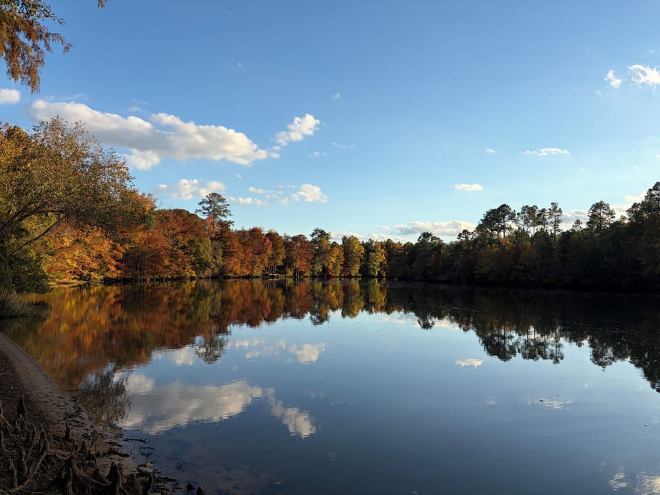 Flint River