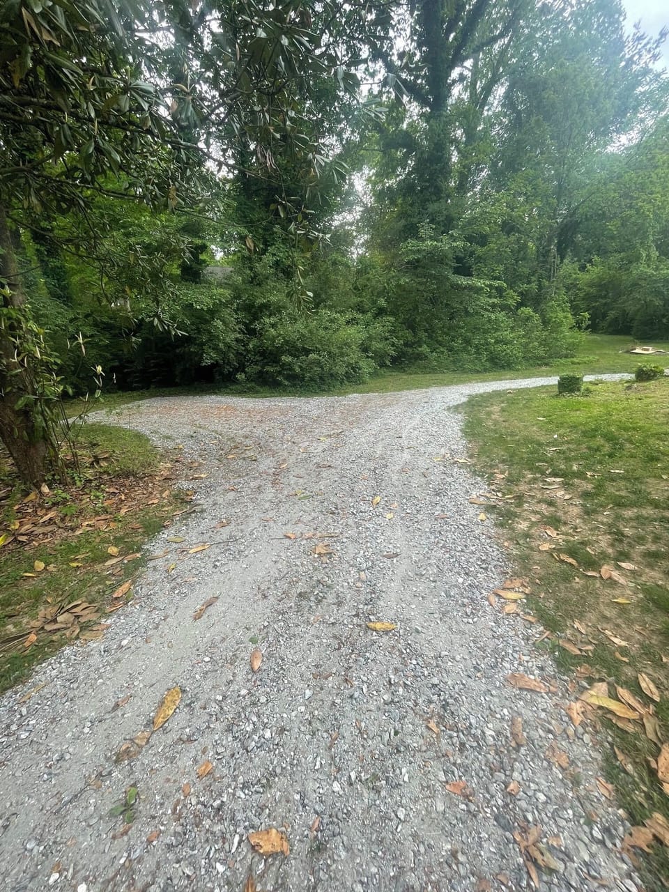 Driveway / parking 