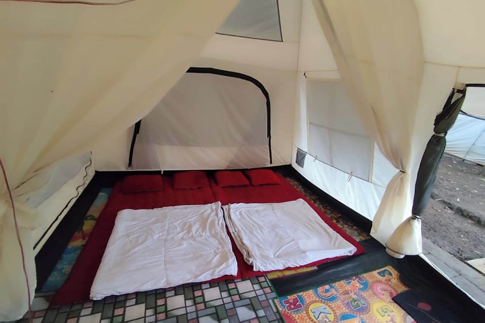 Executive Room | Bed sheets
