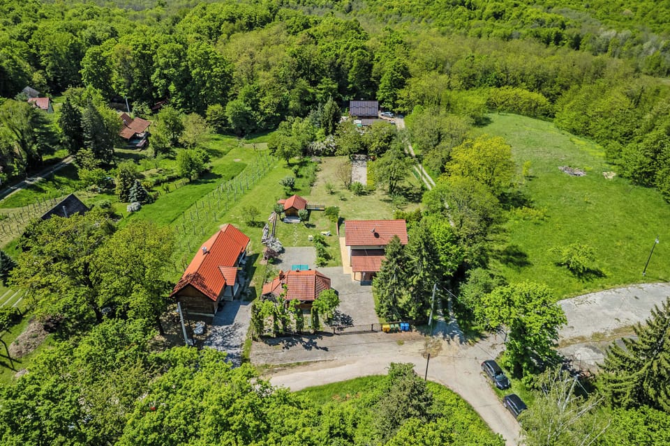 Family House, 2 Bedrooms, Microwave (Family Retreat near Zagreb with Pool) | Aerial view