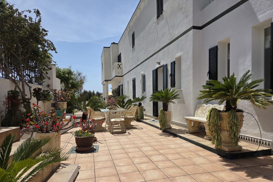 Casita Palmera - 2