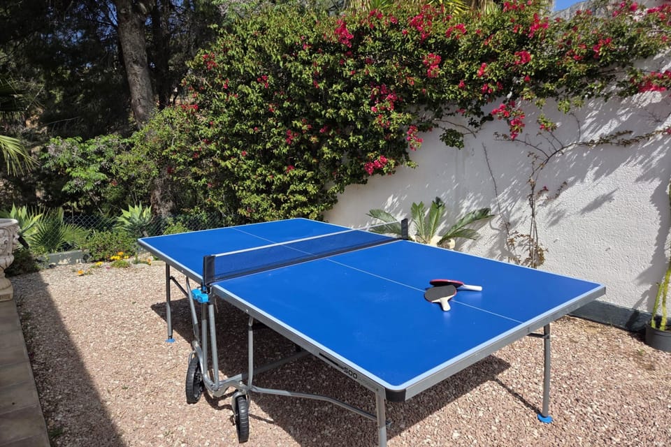 Casita Palmera - 12