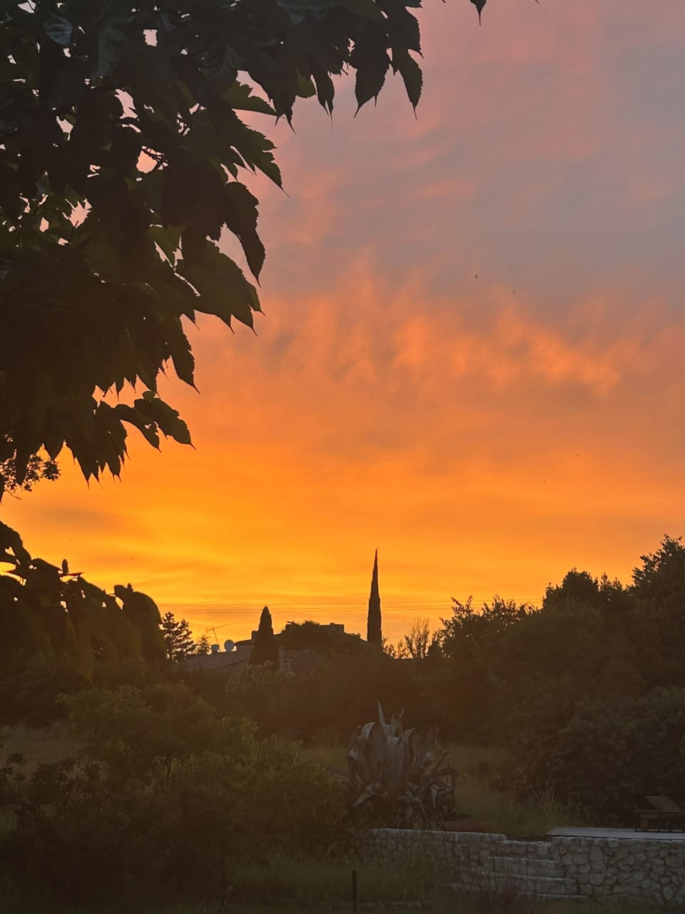 Stunning Sunset 