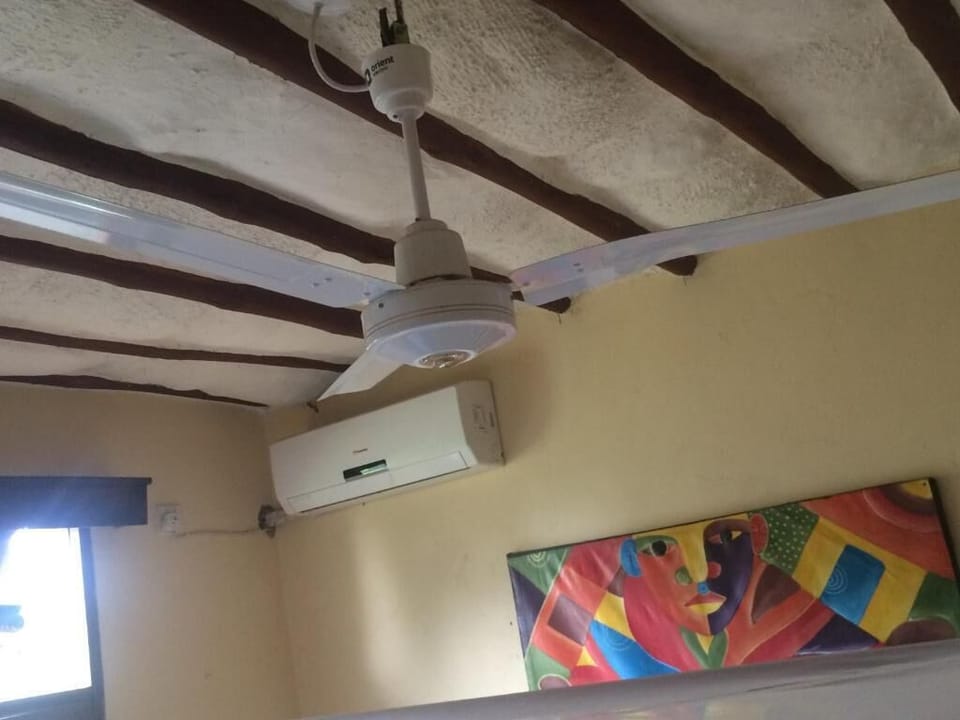 Fan