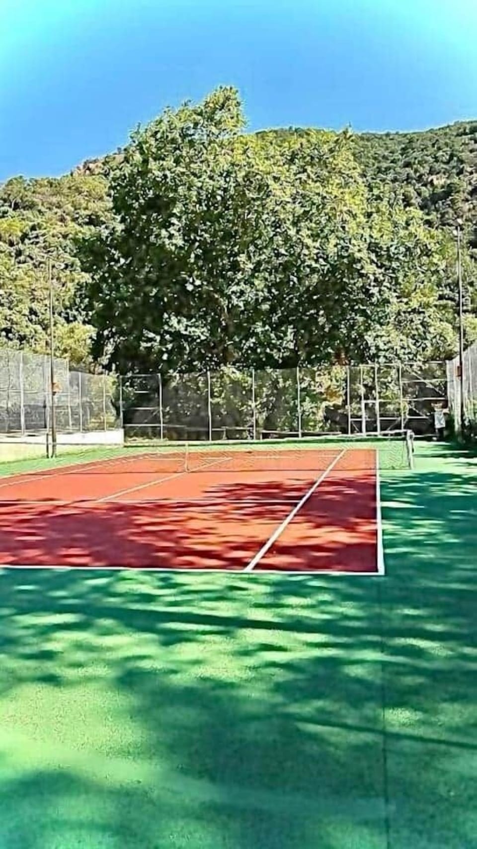 TENIS 2
