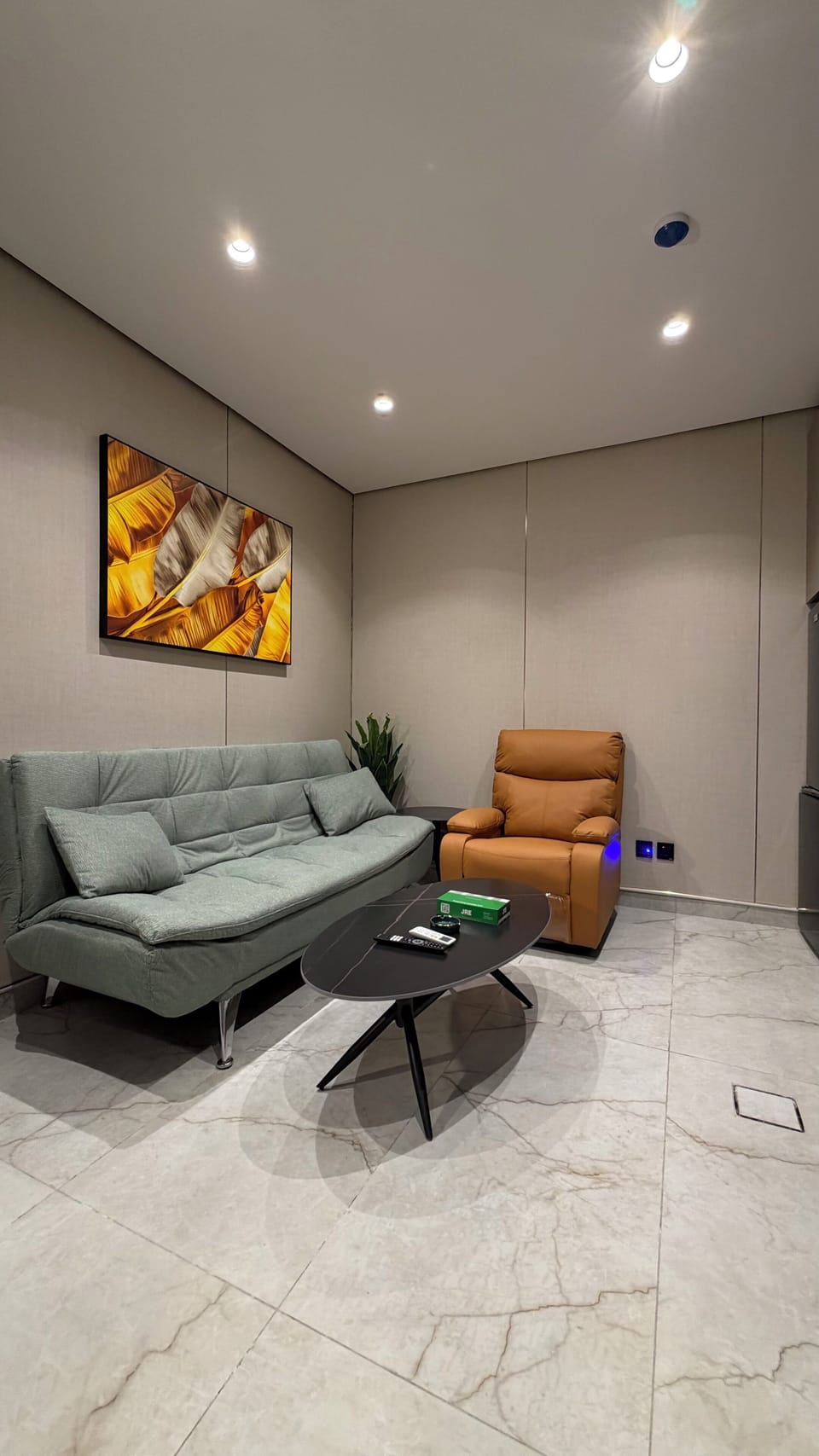 Apartment, 1 Bedroom, Accessible, Smoking | Living room