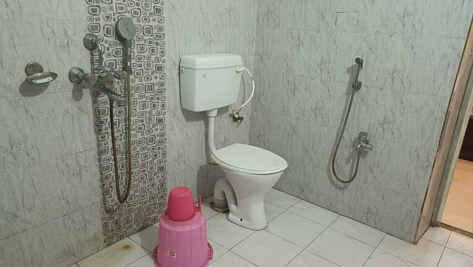 Deluxe Room | Bathroom | Shower, free toiletries, soap