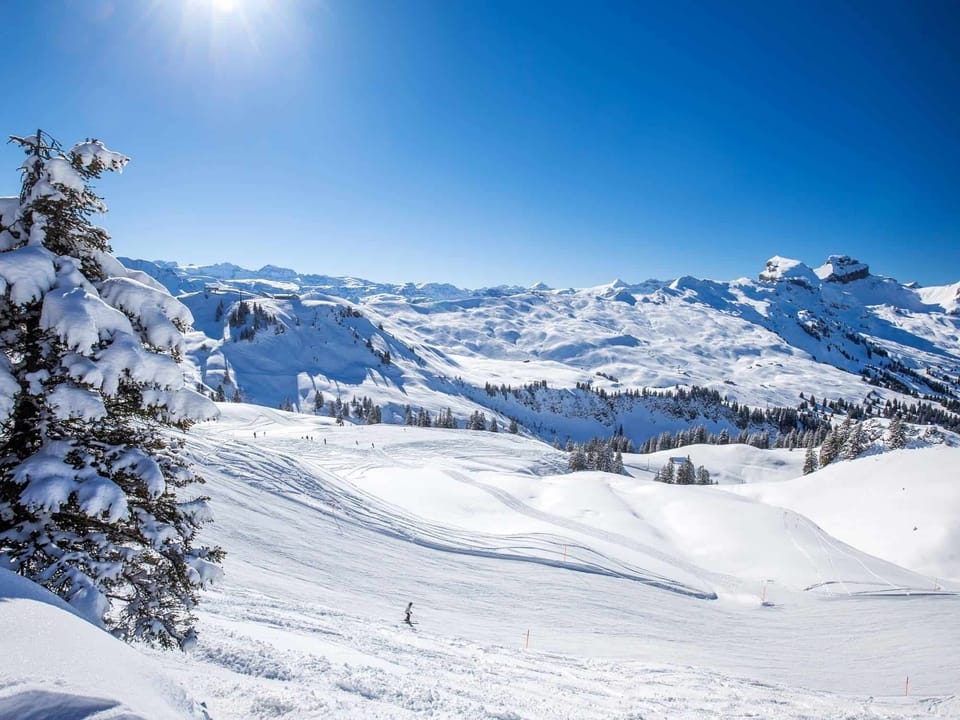 Snow and ski sports