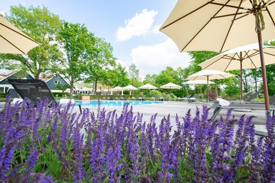 Breathe in lavender-scented breezes while lounging by the pool.