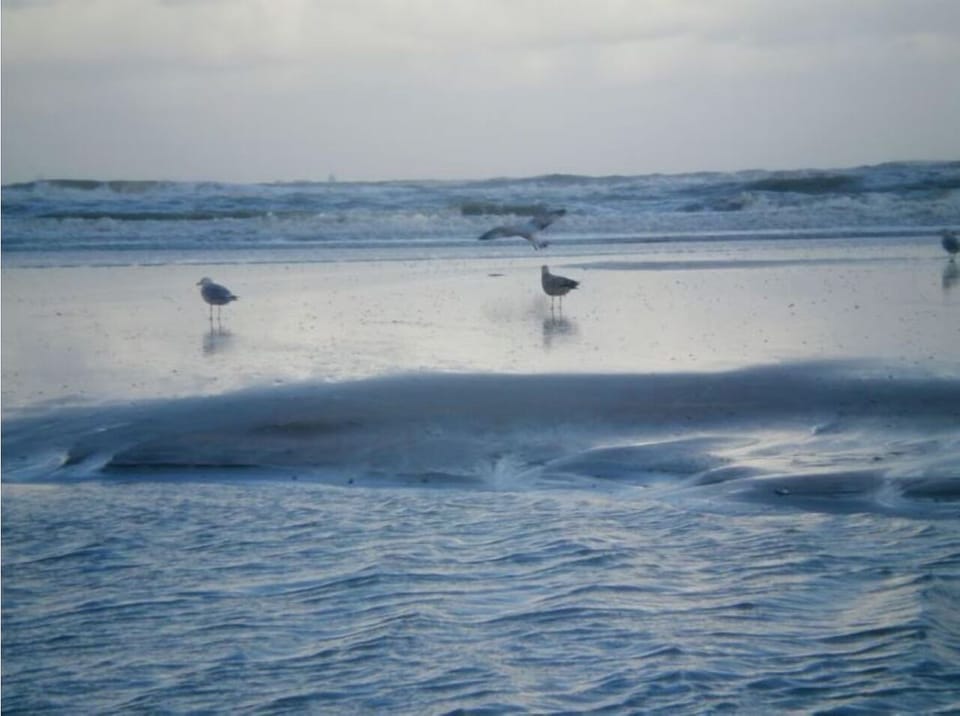 Stroll along the nearby beach and breathe salty air.
