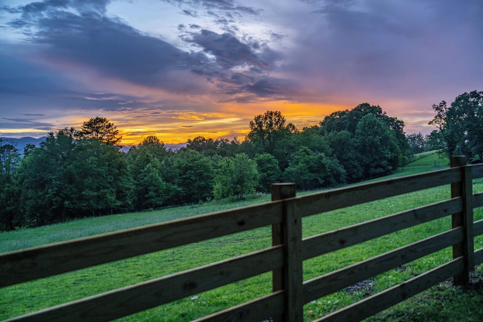 View from property