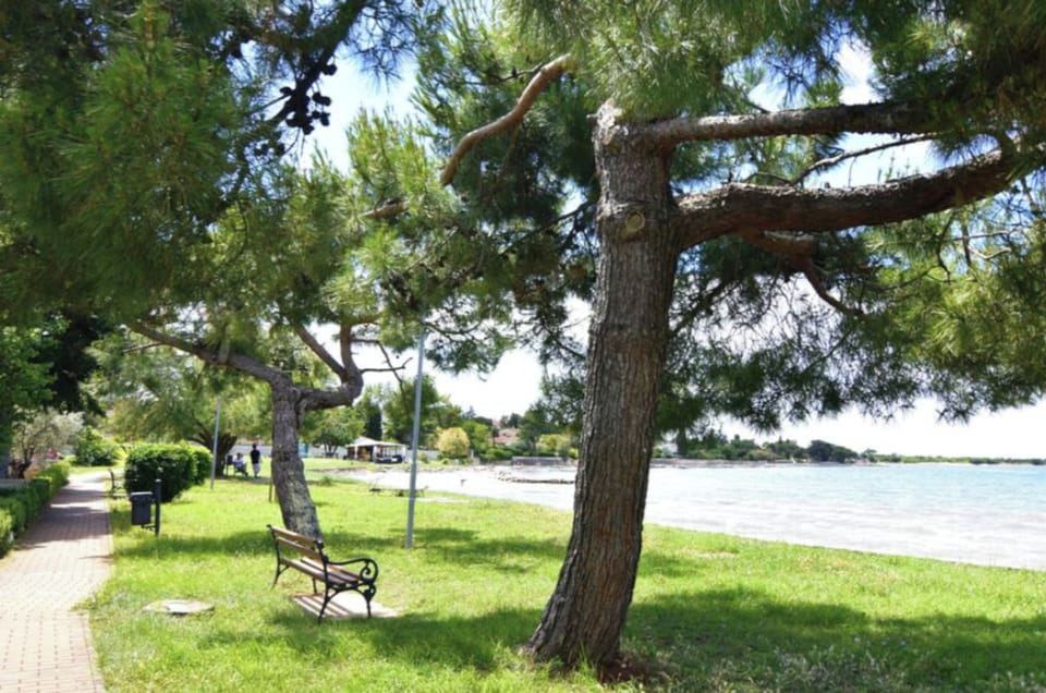 Apartment, 2 Bedrooms, Patio, Garden View | Miscellaneous