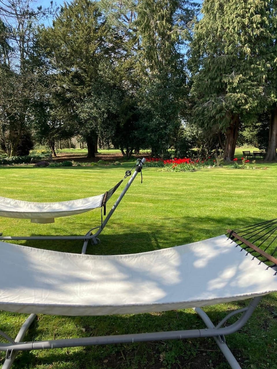 Rose garden for cottage guests (2)