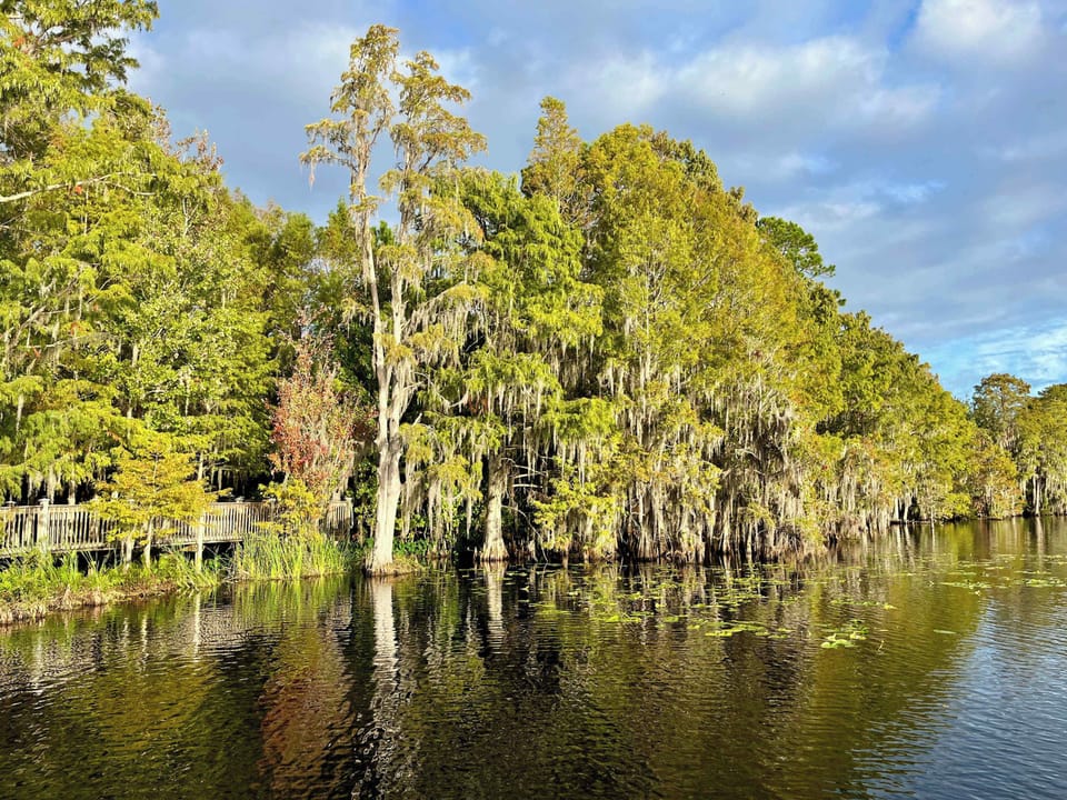 Looking back from the dock