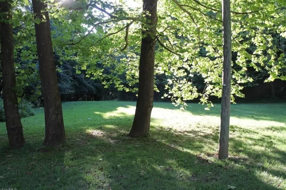 Room to hit some golf balls or target practice with your bow.