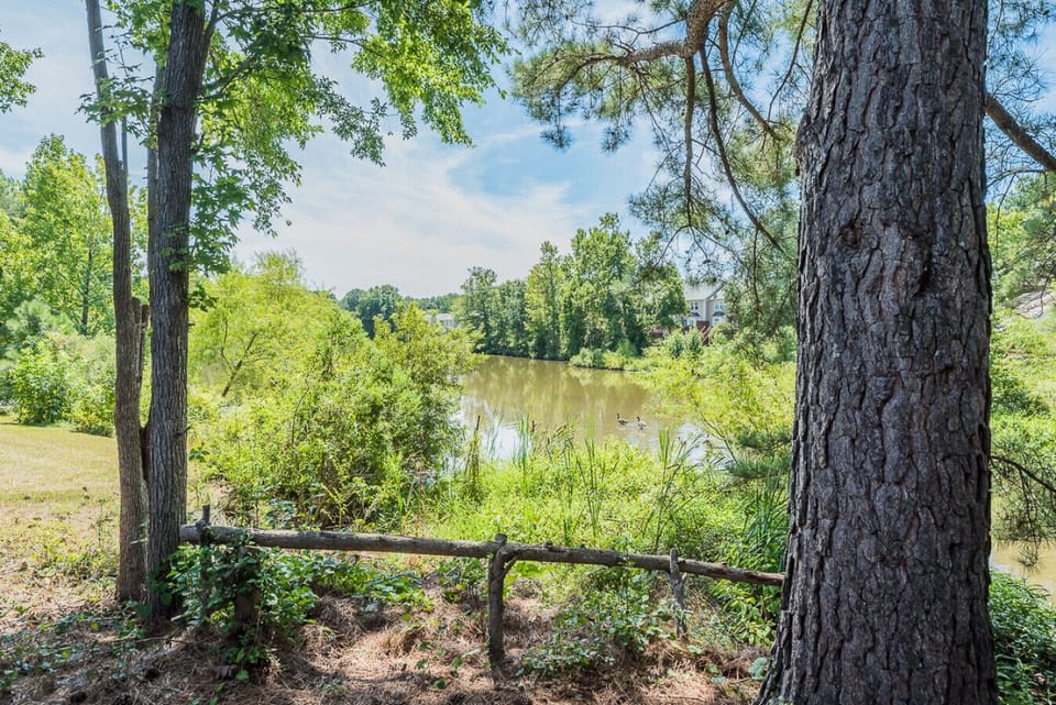 Peaceful pond views just steps from the backyard