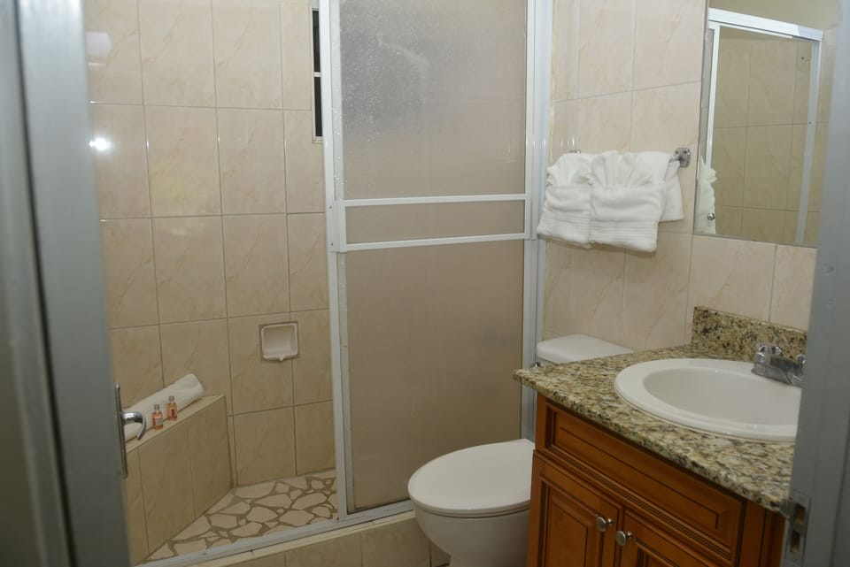 Shower, towels, soap, toilet paper