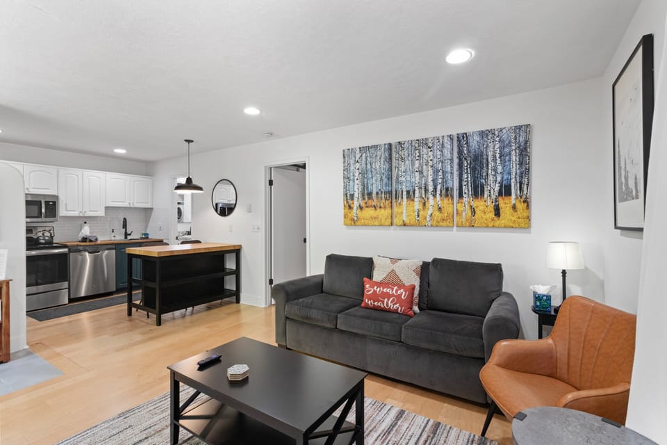 Living Area / Sleep Sofa