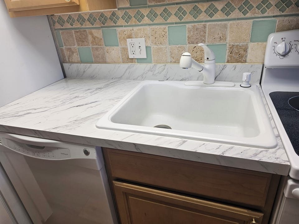 Sink with dishwasher