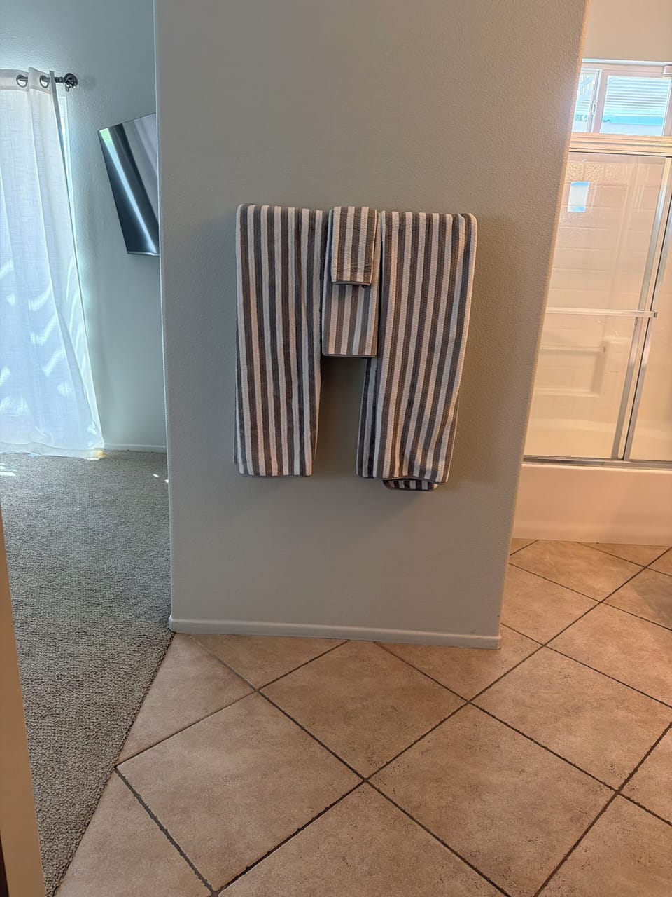 Television