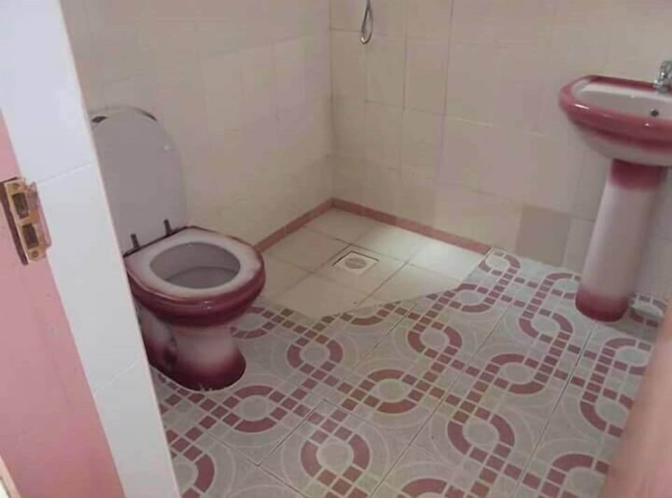 Deluxe Double Room | Bathroom | Free toiletries, slippers, towels, soap