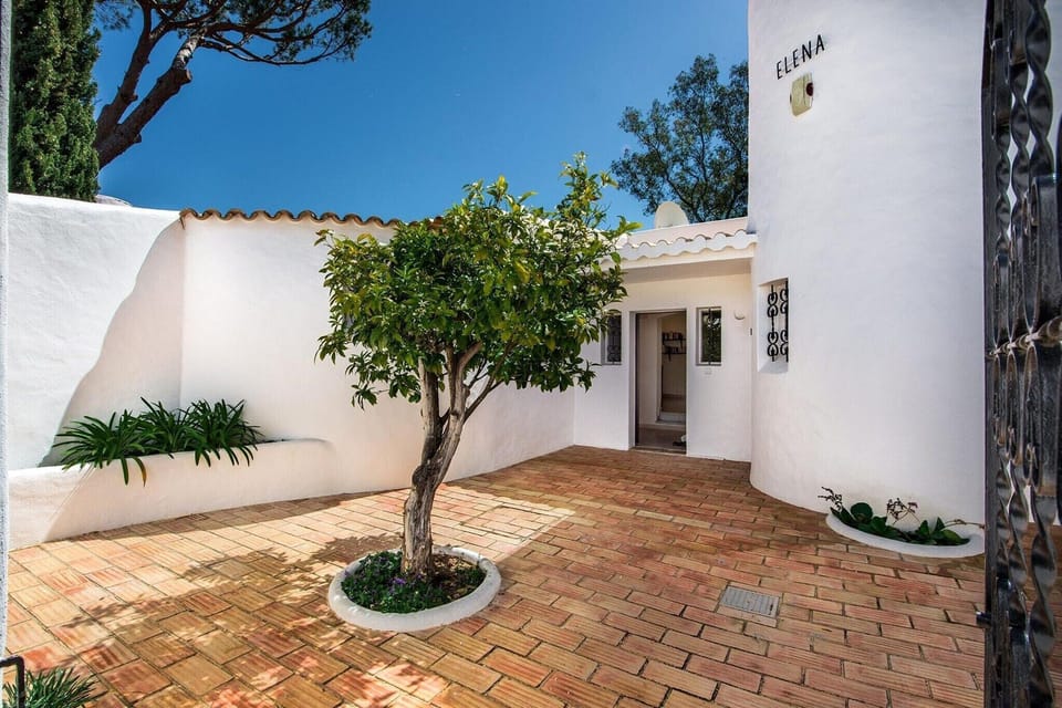 Garden [summer]