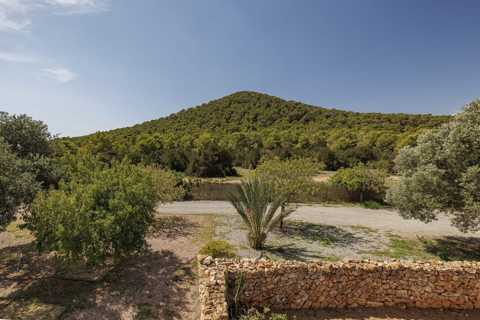 Immediate Surroundings [summer] (<1 km)