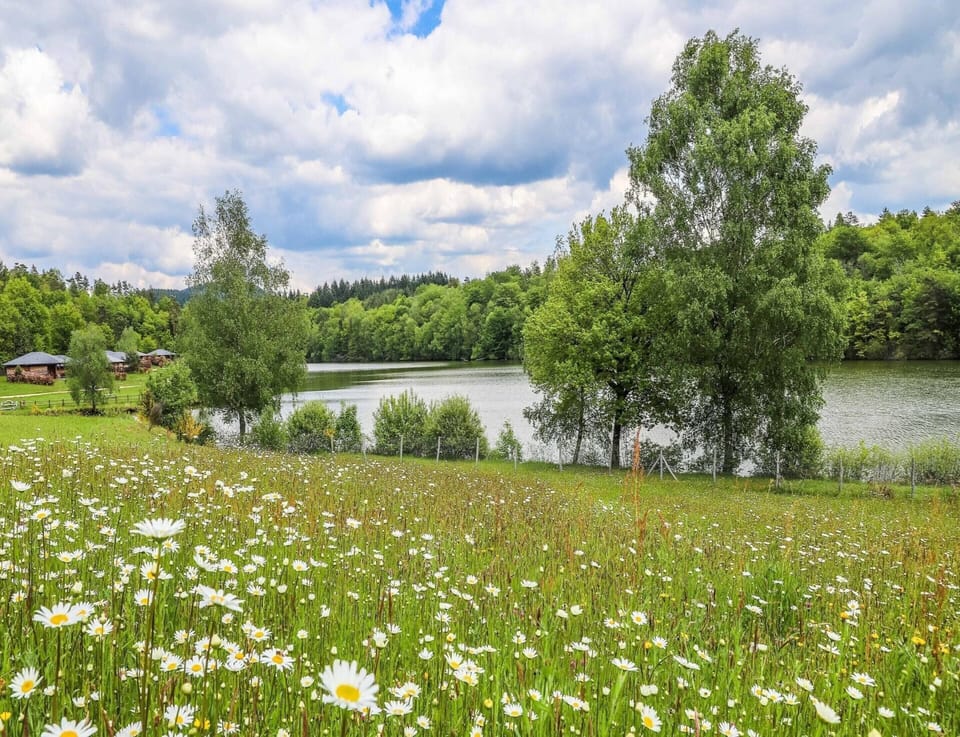 Chalet | View from property