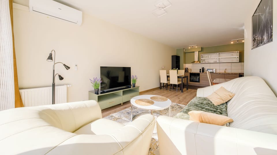 Apartment (42) | Living area | 30-inch flat-screen TV with cable channels