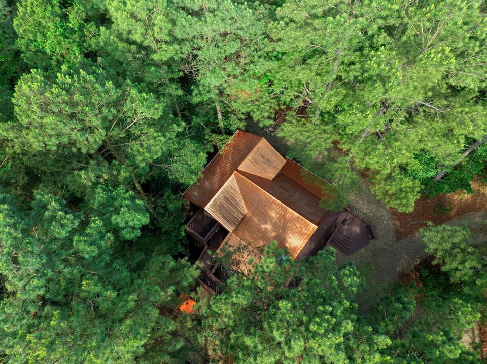 A secluded cabin retreat nestled deep within lush forest, offering complete privacy and natural tranquility surrounded by towering trees and woodland charm.