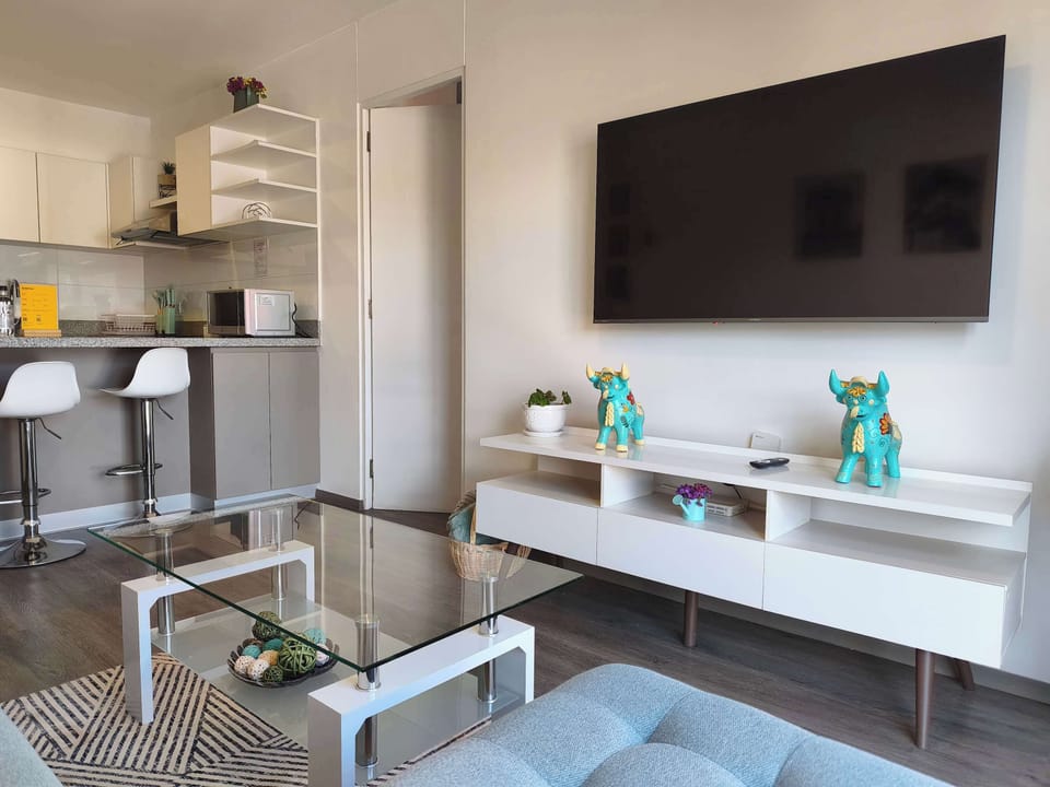 Comfortable living room with television