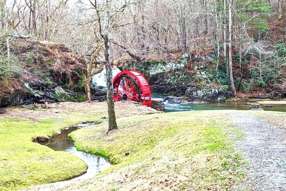 Enjoy the area with beautiful stream. 