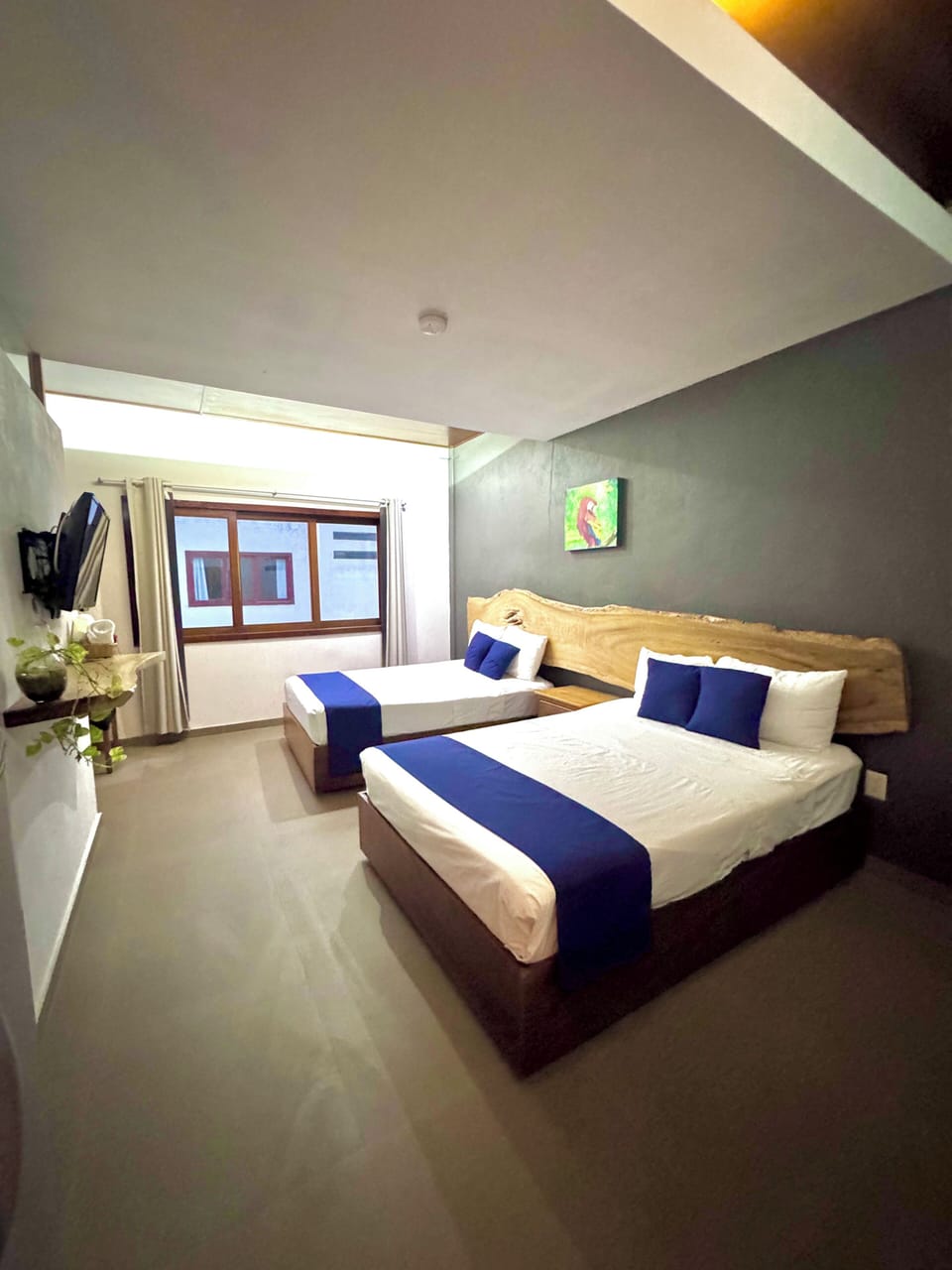 Superior Studio | Free WiFi, bed sheets