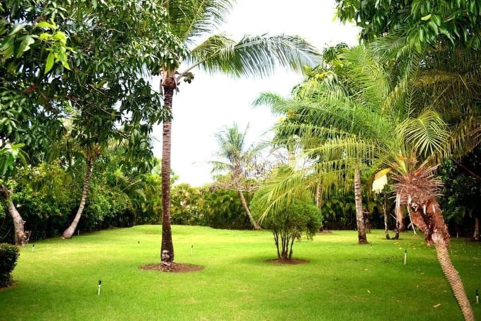 Cana Life Luxury Villa Cueva Green Area