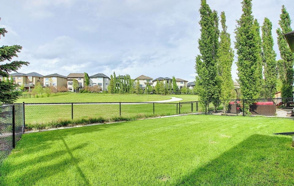 Backyard View