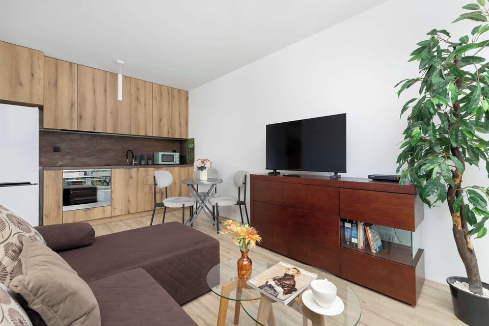 A wide angle of the open-plan space shows the seamless transition from the kitchenette to the lounge. Potted green plants add a touch of freshness to the warm interior.